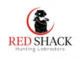 Red Shack Labrador