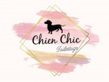 Chien Chic