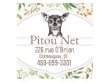 Pitou Net