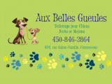 Aux Belles Gueules