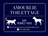 Le luxe pour chien et chat