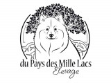 Du Pays Des Mille Lacs