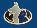 Anilook
