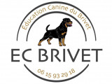 Ecbrivet