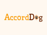 Accord Dog