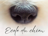 L'Ecole du Chien