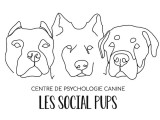 Les Social Pups