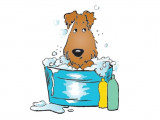 Beauté Canine