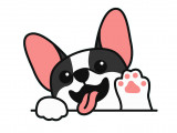 Happy Paws