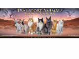 Transport Animals News Lands