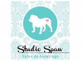 Studio Spaw