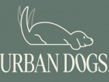 Urban Dogs
