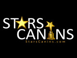 Stars Canins