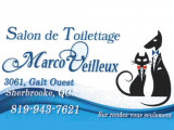 Marco Veilleux