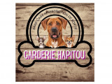 Hapitou