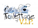 V.I.P