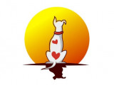 Paragon Pooch
