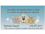 Beauté chien et chat