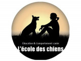 L'école des chiens