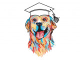 Graduation Canine