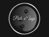 Poils d'Ange
