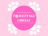 Cibelle