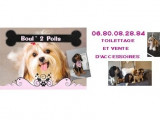 Boul’2 Poils