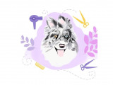 Cani Beauté