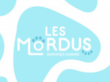 Les Mordus Services Canins