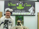 Domi Canin
