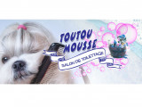 Toutou Mouss’