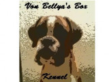 Von Bellya'S Box