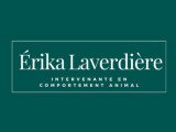 ComportementFelin.ca