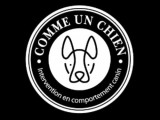 Comme un chien