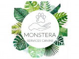 Monstera