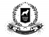 Dressage Alliance Canin