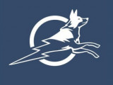 Énergie canine Estrie
