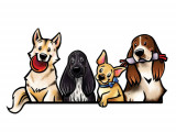 Passion Canin