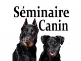 Le Séminaire Canin