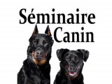 Le Séminaire Canin