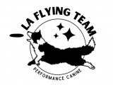 The Flying Team