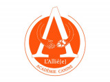 L'Allié[e]