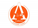 L'Allié[e]