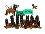 Des Loups Roccia Nera