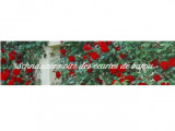 Des Ecuries De Barou