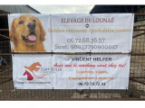 Familial De Lounaé