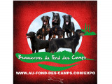 Au Fond Des Camps