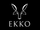 Ekko