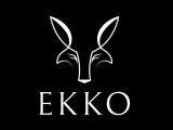 Ekko