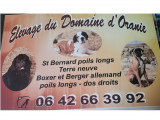 D'Oranie